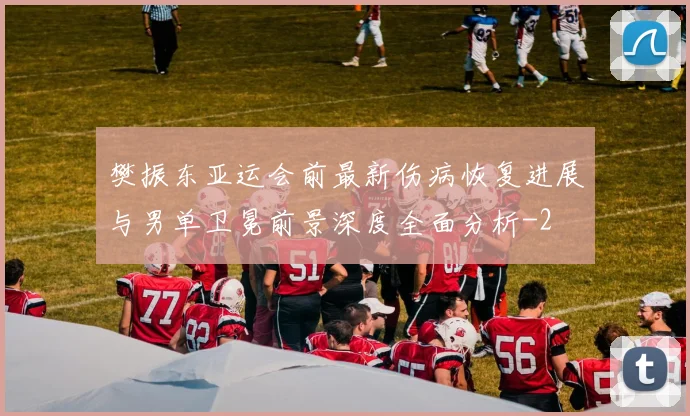 樊振东亚运会前最新伤病恢复进展与男单卫冕前景深度全面分析