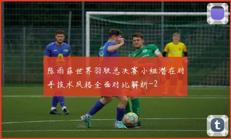 陈雨菲世界羽联总决赛小组潜在对手技术风格全面对比解析