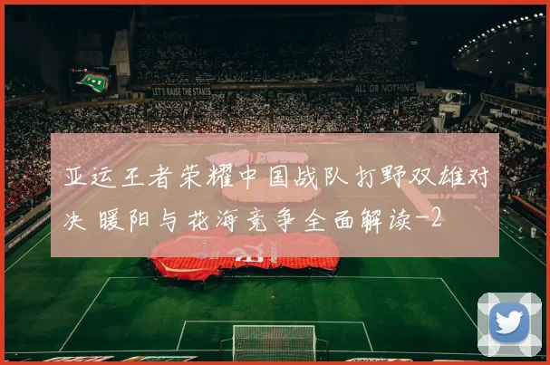 亚运王者荣耀中国战队打野双雄对决 暖阳与花海竞争全面解读